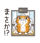 ランラン猫 26 (日本語)（個別スタンプ：28）