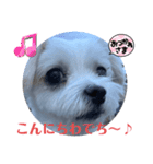 めりる20240301（個別スタンプ：2）
