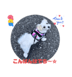 めりる20240301（個別スタンプ：3）