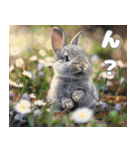 世界一のウサギ（日常会話）（個別スタンプ：20）