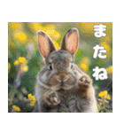 世界一のウサギ（日常会話）（個別スタンプ：24）