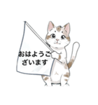 ねこにゃん⭐︎敬語バージョン（個別スタンプ：1）