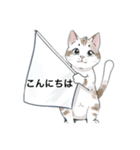 ねこにゃん⭐︎敬語バージョン（個別スタンプ：2）