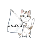 ねこにゃん⭐︎敬語バージョン（個別スタンプ：3）