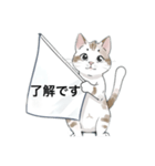 ねこにゃん⭐︎敬語バージョン（個別スタンプ：4）