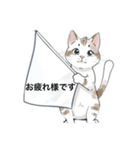 ねこにゃん⭐︎敬語バージョン（個別スタンプ：6）