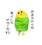 インコ オウム 文鳥 のスタンプ 文字縁取り（個別スタンプ：1）