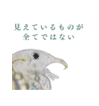 顕微鏡ミジンコスタンプ〜ミニ〜（個別スタンプ：7）