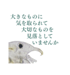 顕微鏡ミジンコスタンプ〜ミニ〜（個別スタンプ：12）