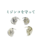 顕微鏡ミジンコスタンプ〜ミニ〜（個別スタンプ：26）