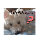 cocoちゃん胡音ちゃん（個別スタンプ：9）