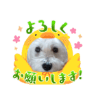 cocoちゃん胡音ちゃん（個別スタンプ：10）