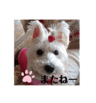 cocoちゃん胡音ちゃん（個別スタンプ：16）