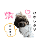 トイプードル♡仕事用と友達用 星夢心音（個別スタンプ：8）