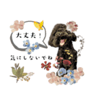 トイプードル♡仕事用と友達用 星夢心音（個別スタンプ：14）