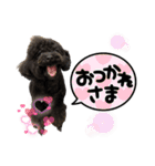 トイプードル♡仕事用と友達用 星夢心音（個別スタンプ：18）