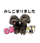 トイプードル♡仕事用と友達用 星夢心音（個別スタンプ：29）