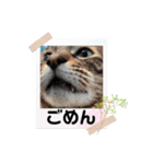 はずはずしゅうぴ（個別スタンプ：20）