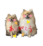 ぽん太くんといなりちゃん（個別スタンプ：3）