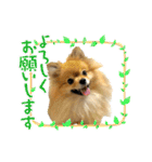 ぽん太くんといなりちゃん（個別スタンプ：4）