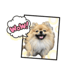 ぽん太くんといなりちゃん（個別スタンプ：10）