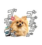 ぽん太くんといなりちゃん（個別スタンプ：11）