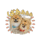 ぽん太くんといなりちゃん（個別スタンプ：12）