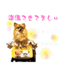 ぽん太くんといなりちゃん（個別スタンプ：16）