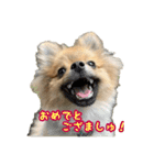 ぽん太くんといなりちゃん.（個別スタンプ：1）