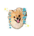 ぽん太くんといなりちゃん.（個別スタンプ：2）