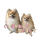ぽん太くんといなりちゃん.（個別スタンプ：8）
