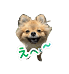 ぽん太くんといなりちゃん.（個別スタンプ：29）