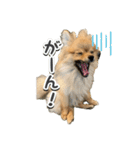ぽん太くんといなりちゃん.（個別スタンプ：32）