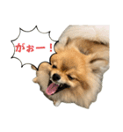 ぽん太くんといなりちゃん.（個別スタンプ：35）