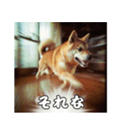 超高速柴犬（個別スタンプ：8）