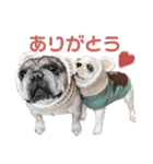 我が家のフレブルたち（個別スタンプ：1）