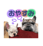 我が家のフレブルたち（個別スタンプ：6）