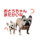 我が家のフレブルたち（個別スタンプ：7）