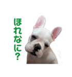 我が家のフレブルたち（個別スタンプ：15）