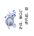 我が家のフレブルたち（個別スタンプ：27）