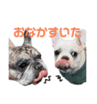 我が家のフレブルたち（個別スタンプ：33）