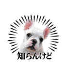 我が家のフレブルたち（個別スタンプ：37）
