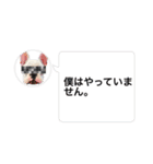我が家のフレブルたち（個別スタンプ：38）