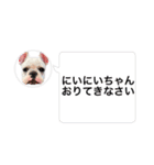 我が家のフレブルたち（個別スタンプ：40）