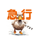 動物二字熟語（個別スタンプ：17）