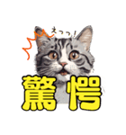 動物二字熟語（個別スタンプ：19）