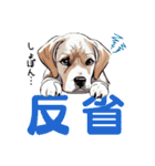 動物二字熟語（個別スタンプ：20）