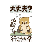 【Big】柴犬・茶色い犬『親から子へ』（個別スタンプ：24）