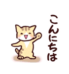 猫のひとり暮らし♡日常会話（個別スタンプ：3）