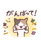 猫のひとり暮らし♡日常会話（個別スタンプ：20）